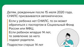 Что дает знание СНИЛС в Кари