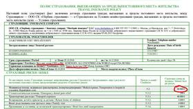 Что страхует Сбербанк: виды страховых продуктов в Кари