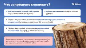 Что за штраф за дерево? в Кари
