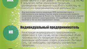 ИП как организационно-правовая форма