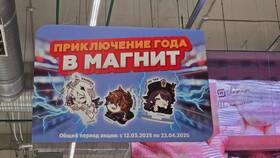 Как купить китайские акции в России в Кари