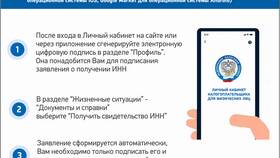 Как получить ИНН через сайт ФНС в Кари