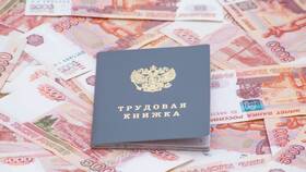 Как получить справку СТД-Р через Госуслуги