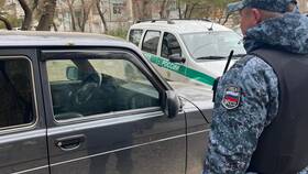 Как снять арест после оплаты долга в Кари