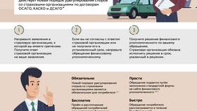 Как связаться со страховой компанией в Кари