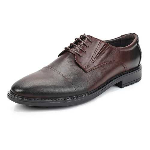 Туфли мужские Alessio Nesca 25807630 коричневые 41 RU в Кари