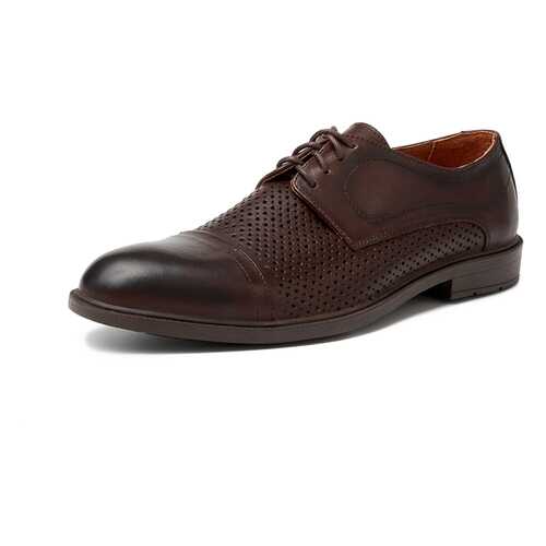 Туфли мужские Alessio Nesca M6118005 коричневые 44 RU в Кари