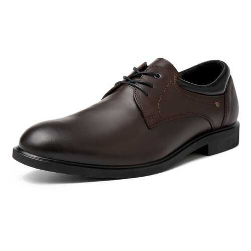 Туфли мужские Alessio Nesca M6208025 коричневые 42 RU в Кари